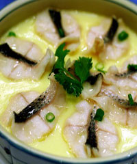 ������Ƭ������