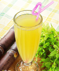 ����Ż��ʳ�Ƶ�����