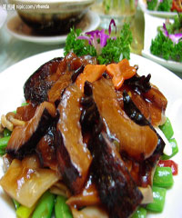 ���պ��ε�����