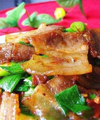 ���˻ع���(�Ƽ�)������