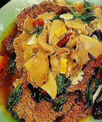 ������Ƭ������