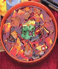 ����ëѪ��_����ëѪ��������,��ô��,�����������