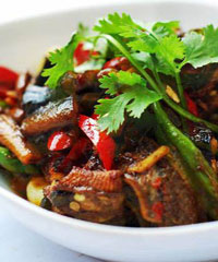 ������Ƭ������