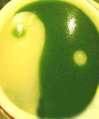 ��̫����������