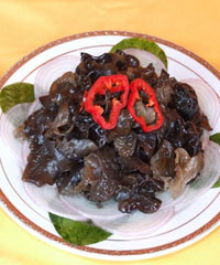 �װ�ľ��������