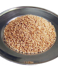 ʳ�γ�֥�������