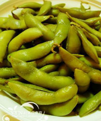 ����ë��������