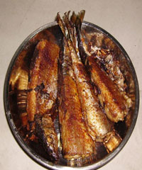 �ο��ﵶ�������