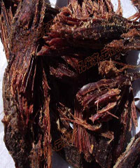 ţ�ɰ͵�����