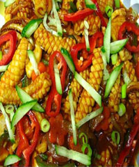 ��������Ƭ������