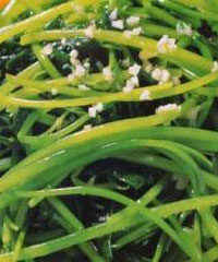 �����Ȳ˵�����