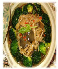 з����ʹ�������