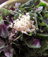 �Ȳ���ͷ��������