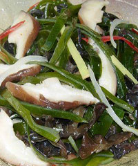 ������ľ��������