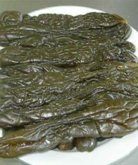 ��ƹϵ�����