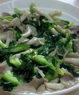 Ģ�����Ͳ��ĵ�����