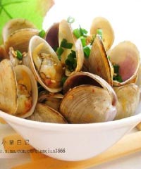 �����ӵ�����