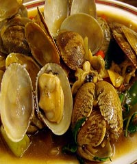 ���������ӵ�����