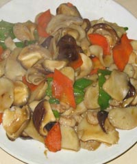 ��˫��������