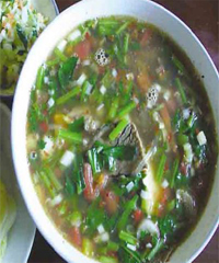 ţ�Ⲥ����������