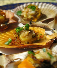 �������ȱ�������