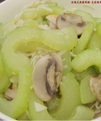 ���ƹϵ�����