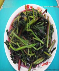 �����Ȳ˵�����