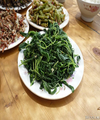 �����˵�����