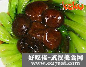 �������ĵ�����