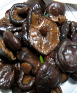 ±֭�㹽������