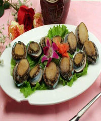 Ũ֭��������