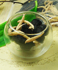 ̫����÷��������