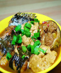 ơ�������������