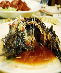 �������������