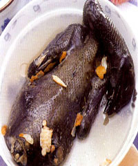 ������ڼ�������