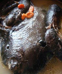 ֥������ڼ���������