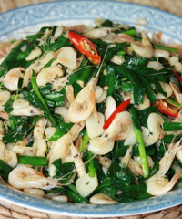 �²˳���Ϻ������