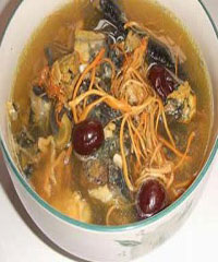 �����Ĳݺ�����������