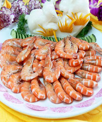 ����Ϻ������