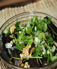 �������ӵ�����