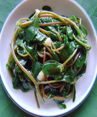 �������ȵ�����