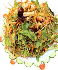 ������˵�����