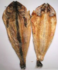 ����̫��ɵ�����