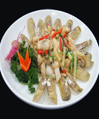 �����ӵ�����