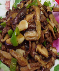 �㹽���������