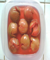 �����ӵ�����