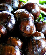 �������ϵ�����