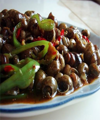 ��³����ݵ�����