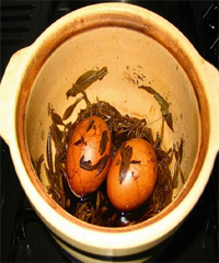 �����㼦��������