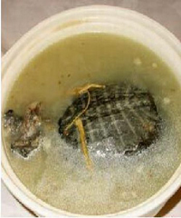 �������������